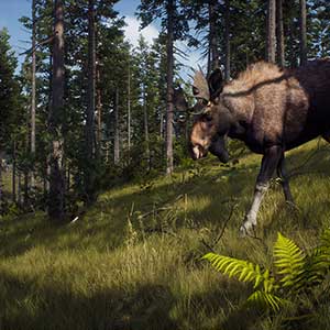 Way of the Hunter Alce