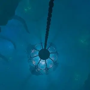 We Were Here Series Bundle - Cámara de inmersión