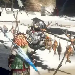 WILD HEARTS S - Recolectar Ingredientes