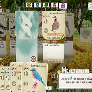 Wingspan - Bobo del Norte