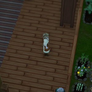 Winkeltje The Little Shop - Noche