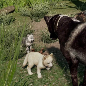 WolfQuest - Cachorros