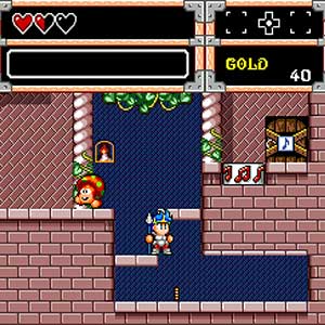 Wonder Boy Collection - Mazmorra