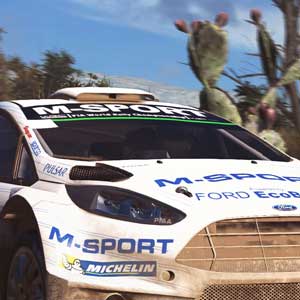 WRC 5 Car Race