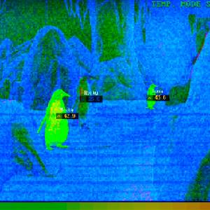 Zoochosis - Modo Temporal